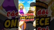 Các cặp đôi sai quá sai trong One Piece #onepiece #xemanime #anime #luffy #tomtatanime #shorts