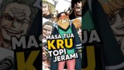 Masa Tua Kru Topi Jerami #animeindonesia #anime