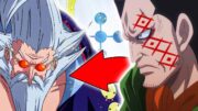 [NEUE SPOILER 1125] DER NEUE GOROSEI WIRD EIN PROBLEM…