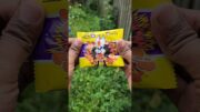 Pokemon Candy