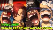 ALL IN ONE I TỔNG HỢP 31 NHÂN VẬT SỞ HỮU HAKI BÁ VƯƠNG TRONG ONE PIECE I