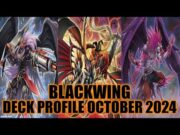 BLACKWING DECK PROFILE (OCTOBER 2024) YUGIOH!