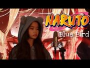 Blue Bird ( Naruto Shippuden OP 3 ) | Shania Yan Cover