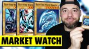 Blue Eyes White Dragon Special! | CARDMARKET WATCH | Oktober 2024 | Yu-Gi-Oh!