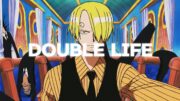 Double Life | One Piece Edit