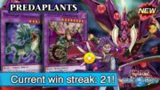 FINALLY! PREDAPLANTS is TOP TIER? 200% WINRATE and F2P THANKS to SKILL! [Duel Links]