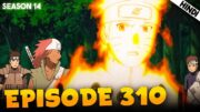 Great Samurai | Naruto Shippuden EPISODE 310 Explained In हिंदी | Aniplainer