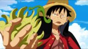 Las 20 Frutas Más INÚTILES en One Piece