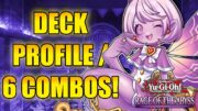 MIMIGHOUL COMBOS AND DECK PROFILE | POST ROTA | Yu-Gi-Oh!