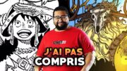 One Piece  1129 – J'ai pas compris