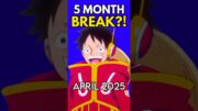 One Piece 5 Month BREAK Until April 2025