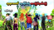 One Piece အပိုင်း (၃၉) | ဘုရားသခင်နေထိုင်တဲ့ တားမြစ်နယ်မြေ | SMART Recaps