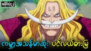 One Piece အပိုင်း (၄၂)  : ကမ္ဘာ့အသန်မာဆုံး ပင်လယ်ဓားမြ