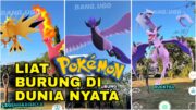 POKEMON BURUNG !! 🦜🦅🕊️🐥🐣