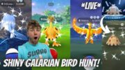 ✨Shiny Galarian Bird Hunt in Pokemon Go and Shroomish Spotlight Hour!✨ (LIVE!)