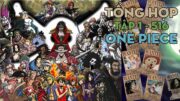 TỔNG HỢP "One Piece" | Tập 1 – 516 | AL Anime