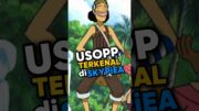 Usopp Terkenal Di Skypiea #animeindonesia #anime