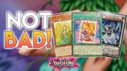 Wait…These Pack Filler Cards Are Actually GOOD!?! Yu-Gi-Oh!