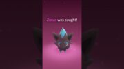 When I caught Shiny *Zorua* finally….. 😳 Pokemon go