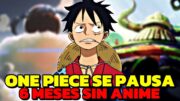 ¡¡EL ANIME DE ONE PIECE SE CANCELA DURANTE 6 MESES!! PERO… – Noticias de One Piece