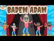 BADEM ADAM / EĞİTİCİ ÇOCUK ŞARKISI / MİNİK ELLER TV #cevizadam #cevizadamşarkısı#cevizadamşipşapşop