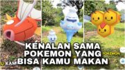 POKEMON INI PUNYA RASA YANG ENAK DAN BISA DIMAKAN !! 🍦🍒🍊🥛