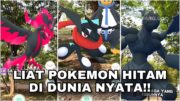 POKEMON WARNA HITAM DI DUNIA NYATA !! GANTENG DAN KEREN?!🖤