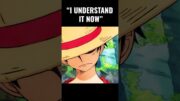 Straw Hat Understands It Now | One Piece #onepiece #anime #manga #luffy #shorts