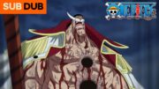 THE ONE PIECE IS REAL | One Piece