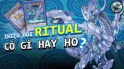 Tổng Quan Về Quái Thú Ritual | Yugioh Việt Nam