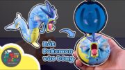 Cách để nhốt Gyarados vào banh Pokeball Pokemon  ToyStation 926