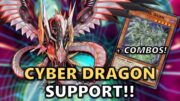 Cyber Dragon Support Post Alliance Insight! Deck List, Combos, Discussion | 2025