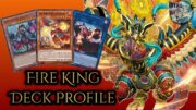 Fire King Snake-Eye Deck Profile! *JAN 2025!*