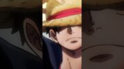 Luffy não aceita Law e Kid em sua tripulação | One Piece