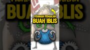 Manusia Ikan (Fishmen) Dengan Kekuatan Buah Iblis! 🐟🗿 #onepiece #animeindo