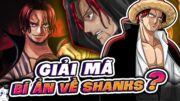 SHANKS THỰC CHẤT CÓ ANH EM SINH ĐÔI? | ONE PIECE