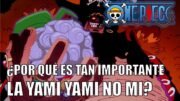 ¿Por qué Marshall D. Teach necesita la yami yami no mi? | Teorías One Piece