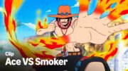 ACE SALVA RUBBER DA SMOKER | One Piece