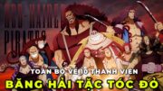 ALL IN ONE I TOÀN BỘ VỀ 11 THÀNH VIÊN BĂNG HẢI TẶC TÓC ĐỎ I REVIEW ONE PIECE