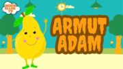 ARMUT ADAM / EĞİTİCİ ÇOCUK ŞARKISI / MİNİK ELLER TV #cevizadam #cevizadamşarkısı#cevizadamşipşapşop