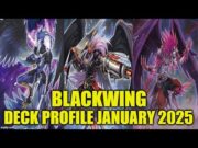 BLACKWING DECK PROFILE (JANUARY 2025) YU-GI-OH!