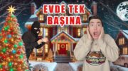 Efekan'ın Maceraları 16.Bölüm – Yılbaşında Evde Tek Başına!