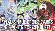 FINAL SINFUL SPOILS CARDS! BIG WHITE FOREST BUFF! Yu-Gi-Oh!