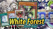 *FULL POWER!* White Forest | Alliance Insight