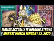 Maliss Staying Strong! Yu-Gi-Oh! Market Watch January 22, 2025