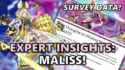 Maliss Survey Responses! Strengths, Best Hand Traps & Side Deck Options, How to Beat | Jan 2025