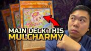 Mulcharmy Meowls IS Main Deck a META CALL!