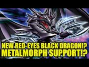 New Red-Eyes Black Dragon Card!!! Metalmorph Support Yu-Gi-Oh!