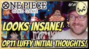 One Piece Card Game: OP11 Luffy Looks Insane! Initial Thoughts and Deck List!