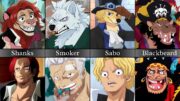 One Piece Characters As Minks